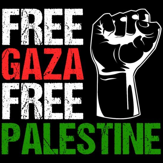 free-gaza-free-palestine-palestine-freedom-mens-t-shirt.jpg