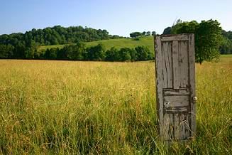 door-in-field.jpg