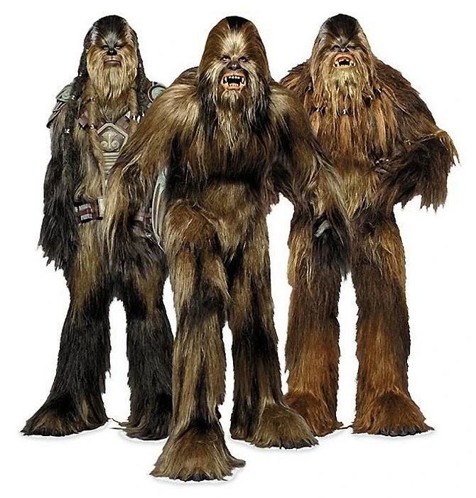 Wookies.jpg