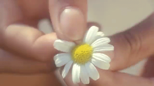 tumblr_nhpye5Cd8c1rnzp88o1_500.gif