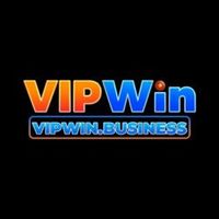 vipwinbusiness