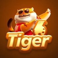 6tigercombr