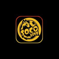 socolivezzqcc