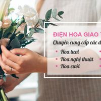 shophoalongan