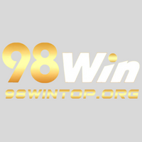 98wintoporg