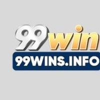 99winsinfo