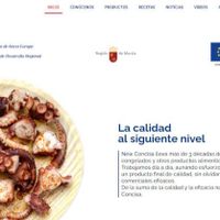 newconcisa