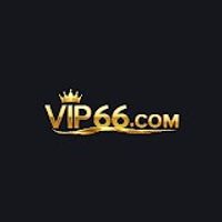 vip66forum6