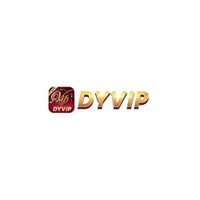 dyvipnetbr
