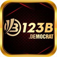 123bdemocrat