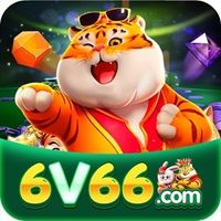 6v66org