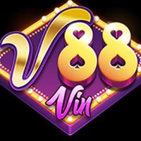 88vinystems